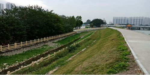 治水攻堅戰｜新華街水環境治理進行時，12月13日戰報及環境檢測服務動態