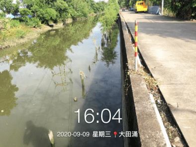 守護碧水清波 石岐河涌環境治理打響“四大戰役”，環境檢測服務保駕護航